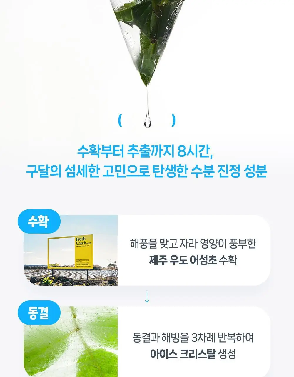 [수분캐치/화잘먹크림] 구달 어성초 히알루론 수딩 크림 75ml 기획 (+20ml+랜덤 파우치키링) 상세페이지 34